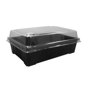 DELIPACK SUSHI PEQUEÑO (FONDO ALTO / TAPA BAJA)