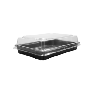 DELIPACK SUSHI PEQUEÑO (FONDO BAJO / TAPA ALTA)