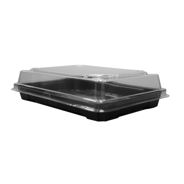 DELIPACK SUSHI GRANDE (FONDO BAJO / TAPA ALTA)